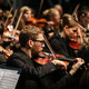 Ein Musiker mit Geige des Studentenorchesters der TU Dortmund im Fokus